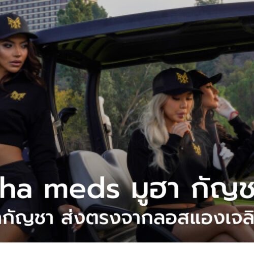 Muha meds มูฮา กัญชาไฟฟ้า Pods Disposable Premium